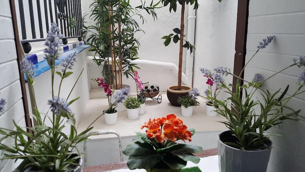 Giraldilla Guest house Seville
